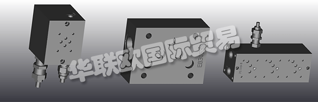 EUROFLUID Hydraulic是一家大型公司，專門生產(chǎn)液壓設(shè)備的歧管。